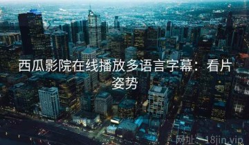 西瓜影院在线播放多语言字幕：看片姿势