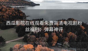 西瓜影院在线观看免费高清电视剧粉丝福利：弹幕神评