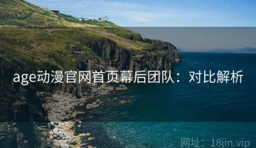 age动漫官网首页幕后团队：对比解析